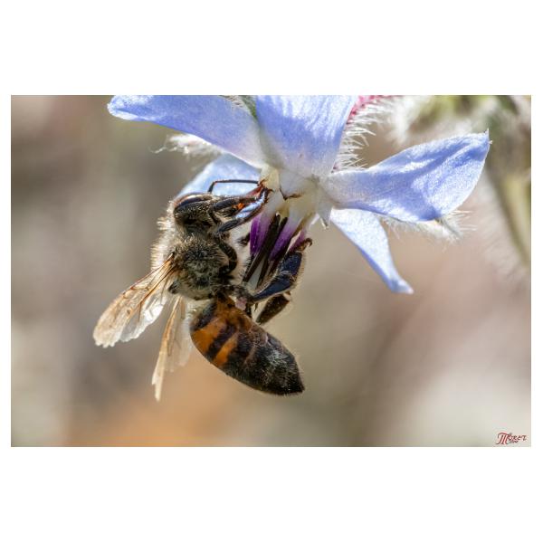 PHOTO84, CLUB, 84 , LUBERON